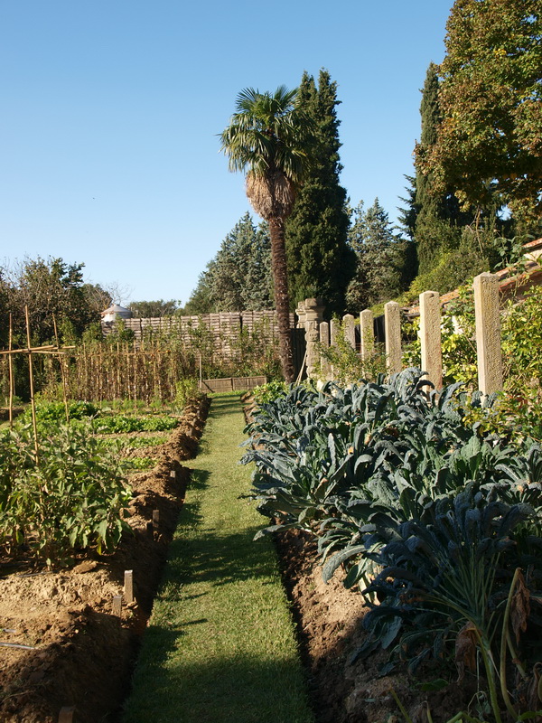 Weingut Famiglia Buccelletti, Garten