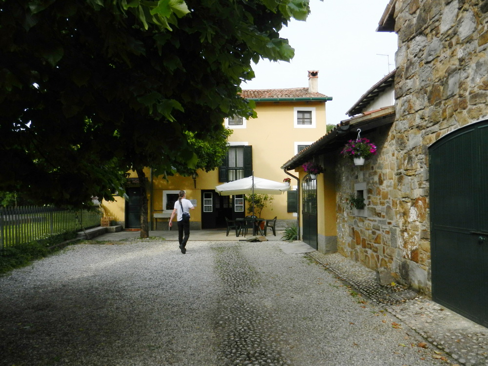 Weingut Kitzmüller, Impressionen