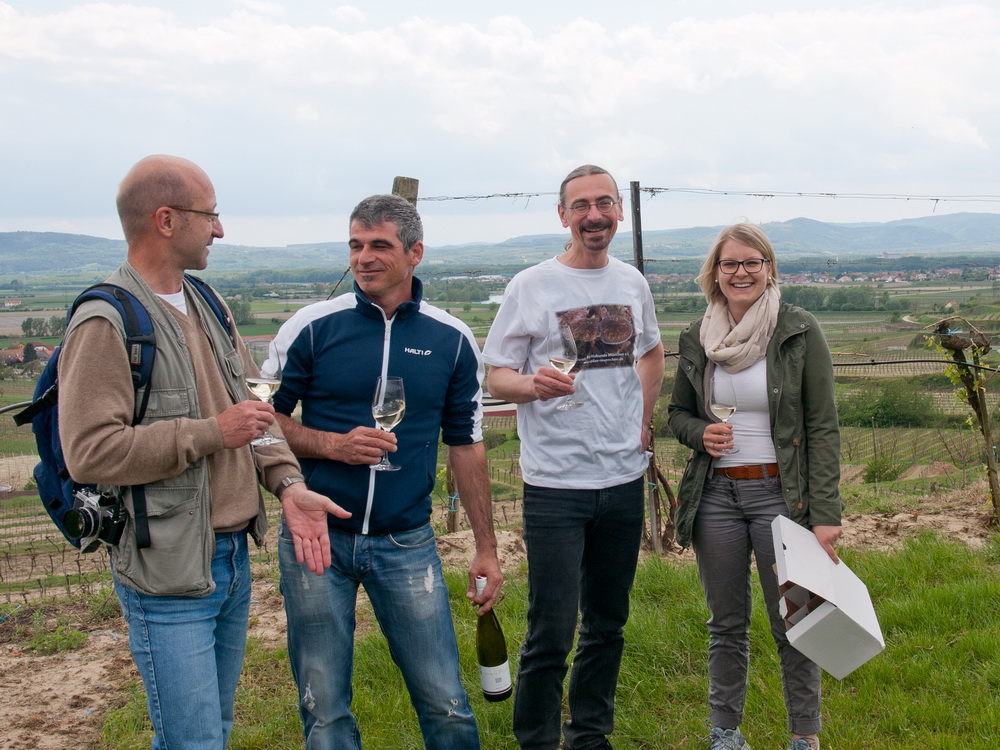 Weingut Winkler, Weingärten