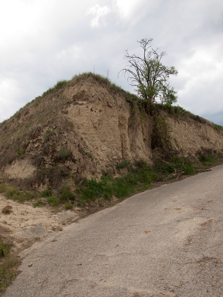 Weingut Winkler, Kremstal LössTerrassen