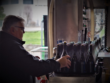 Weingut Mauro Sebaste